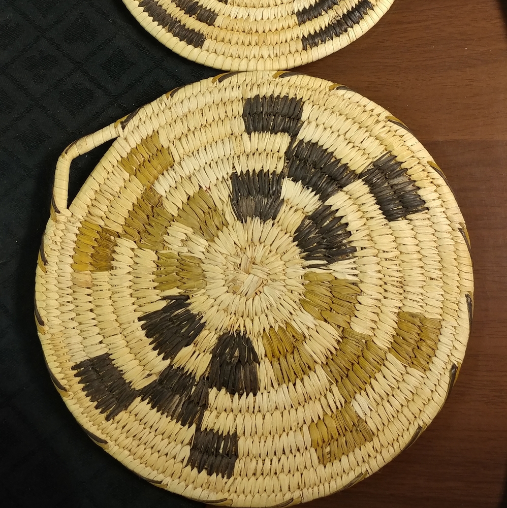 Papago Wall Hanging Basket's
